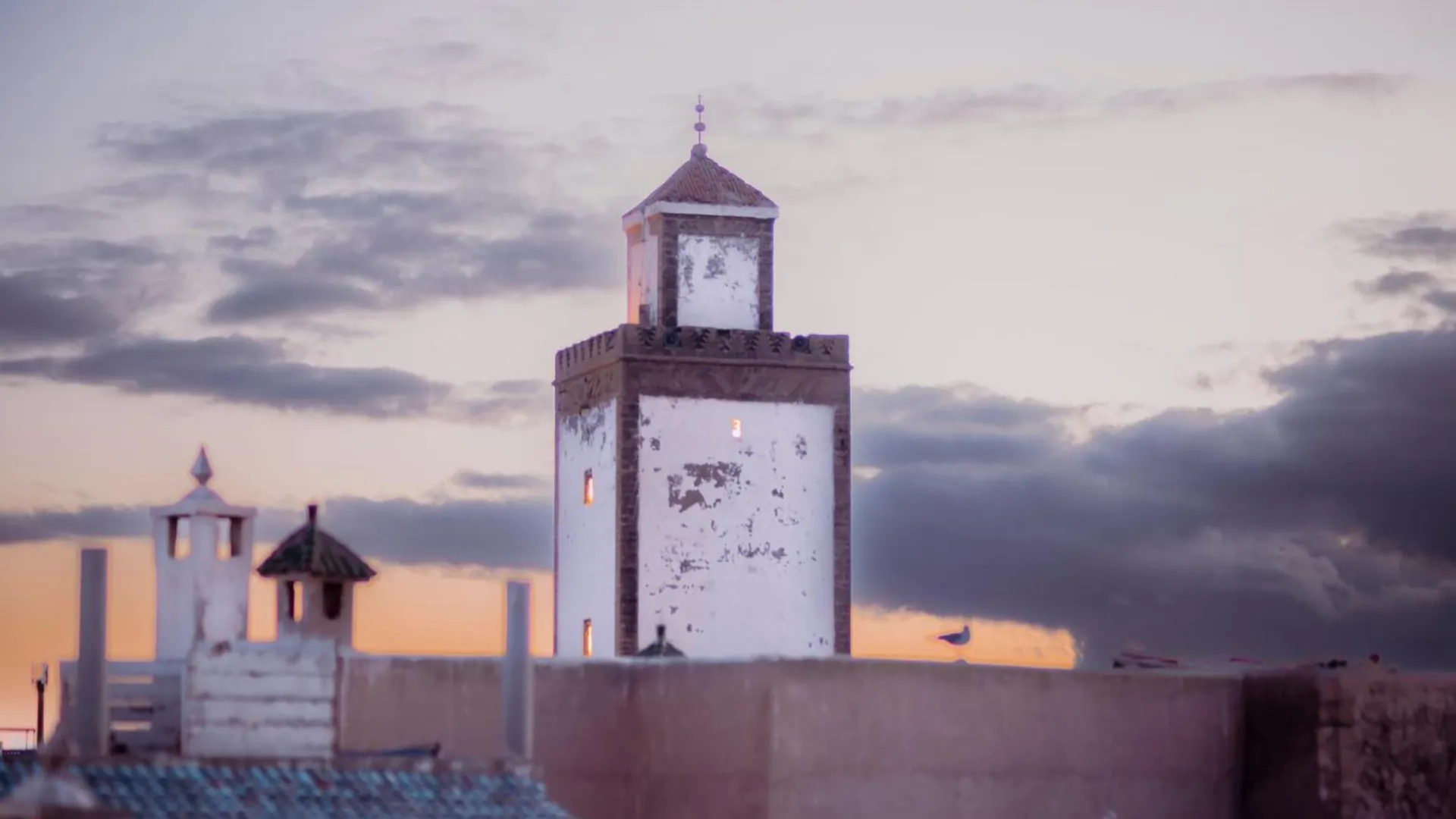 Giraffe Hostel-Sea View Rooftop Essaouira Hostel